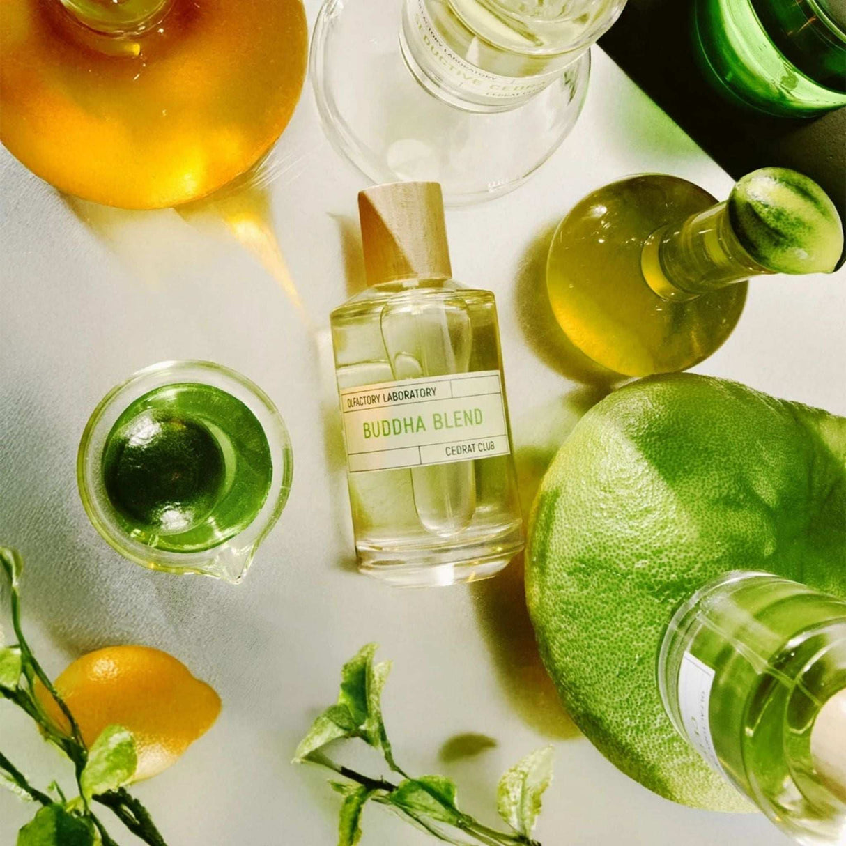 Buddha Blend Les Liquides Imaginaires Perfume