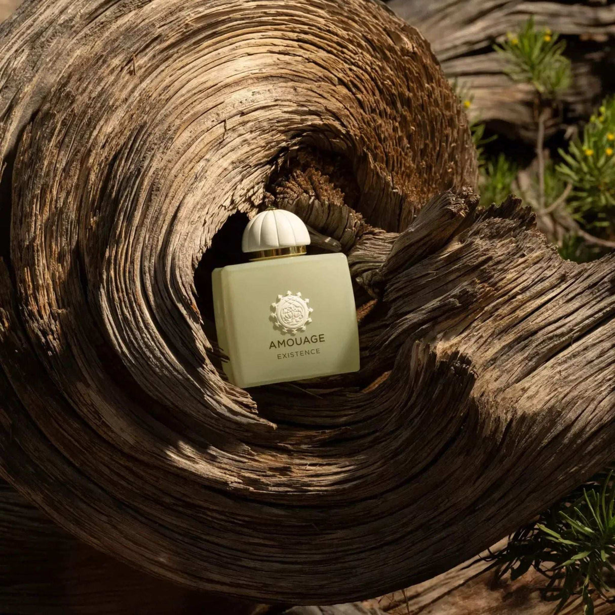 Existence Amouage Fragrance