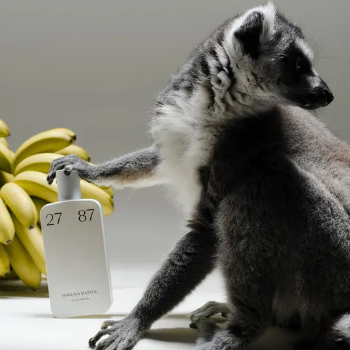 Hakuna Matata 27 87 Perfume