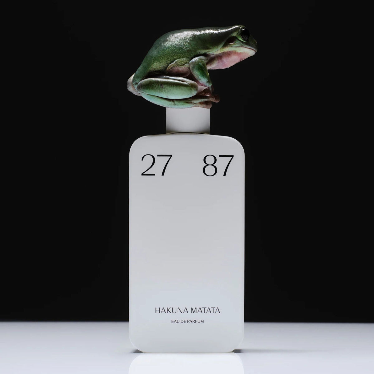 Hakuna Matata 27 87 Fragrance