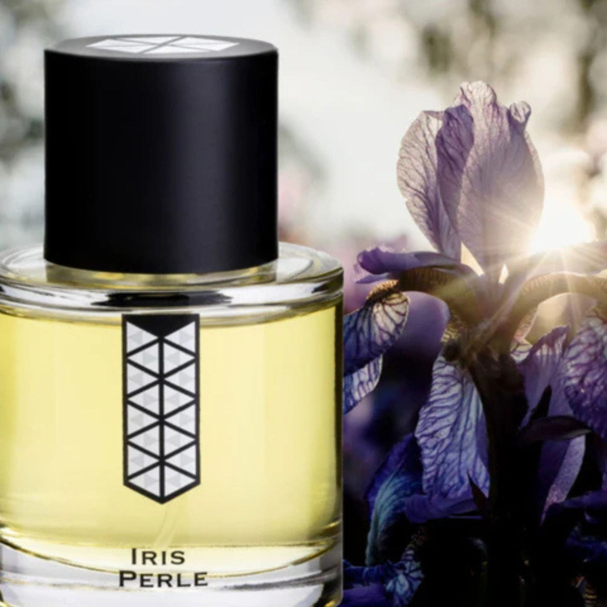 Les Indemodables Iris Perle