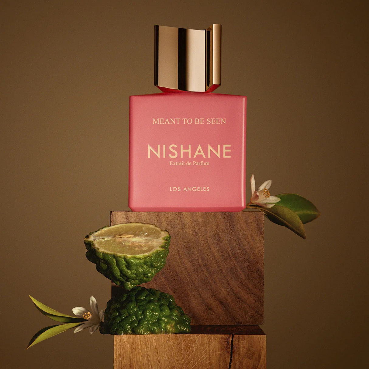 Meant To Be Seen Perfume Nishane