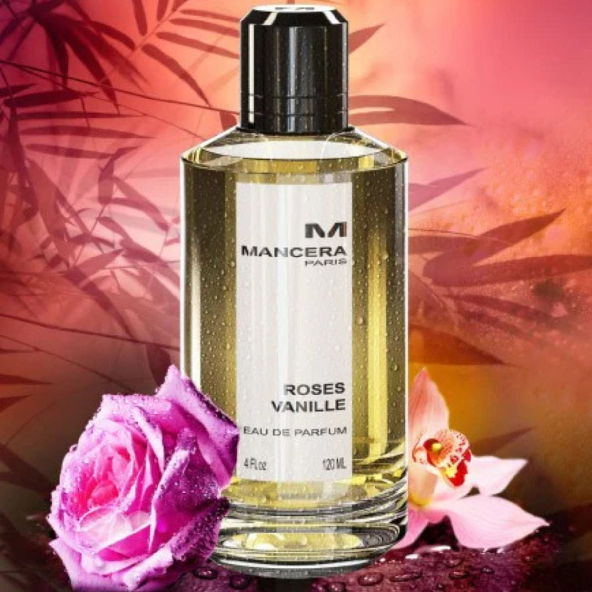Fragrance Roses Vanille Mancera