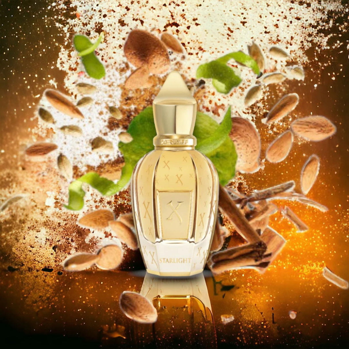 Perfume Xerjoff Starlight