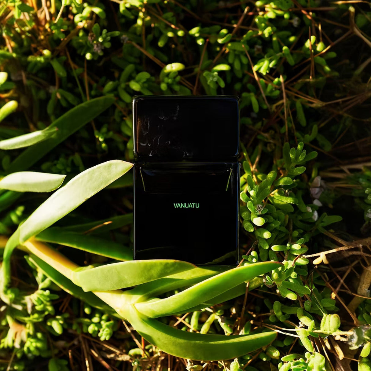 Sora Dora Vanuatu Perfume