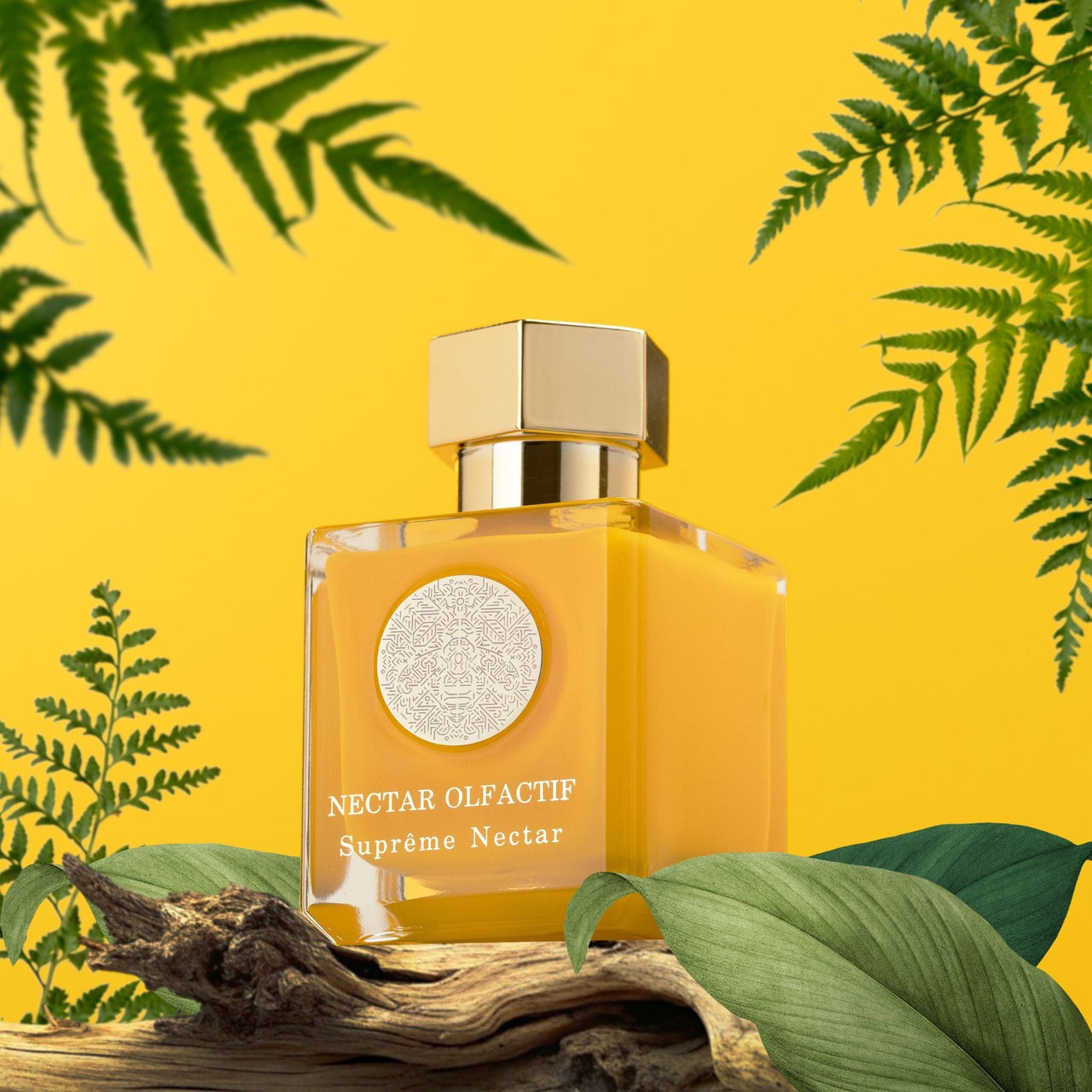 Nectar Olfacif Perfume Collection – A Symphony of Unique, Scents