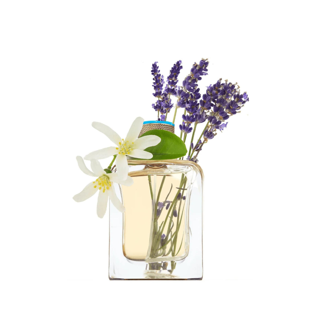 Eau d'Azur Veronique Gabai Perfume