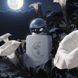 Luvani Perfume Pernoire