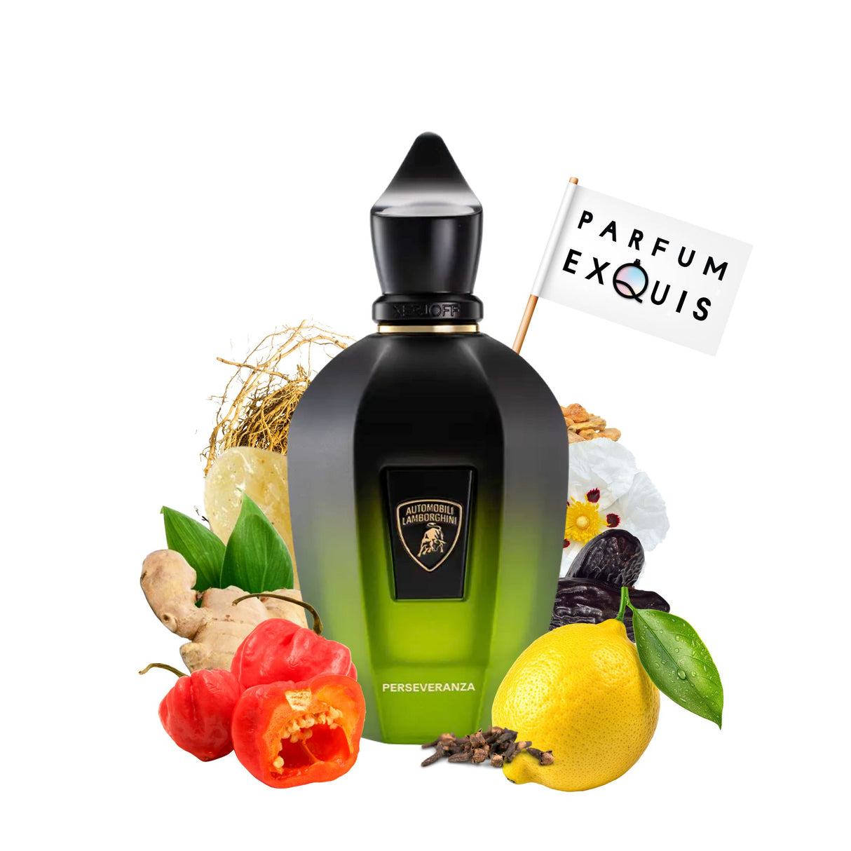 Perfume Perseveranza Xerjoff
