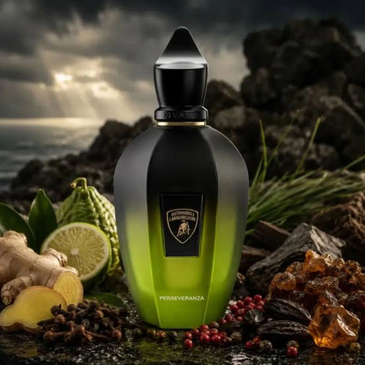Perseveranza Perfume Xerjoff