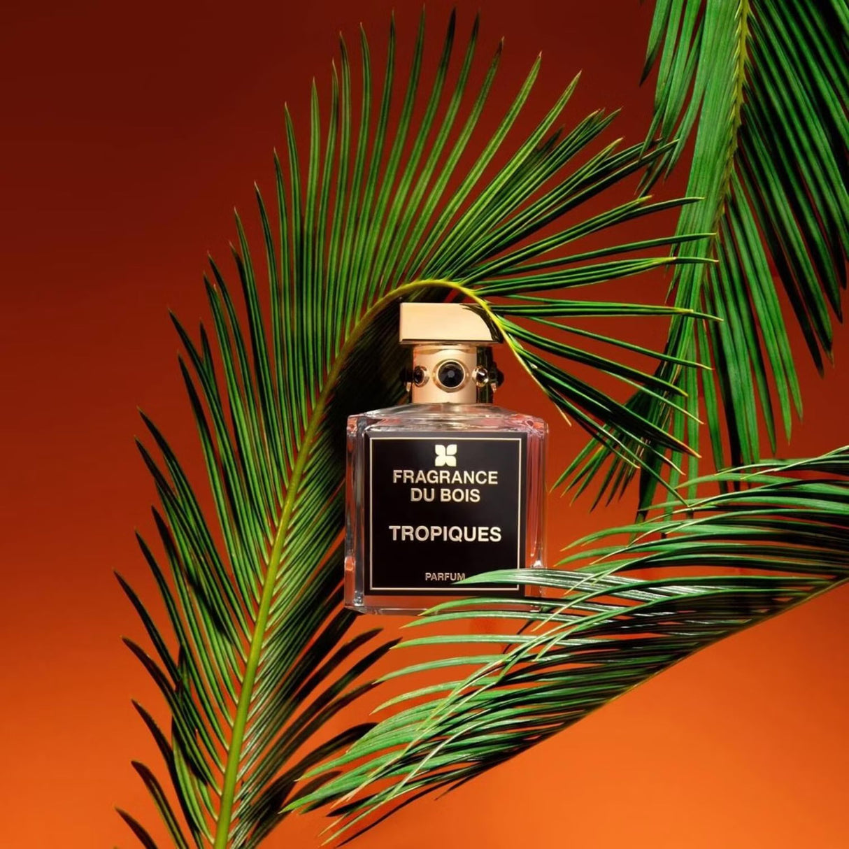 Tropiques Perfume Fragrance Du Bois