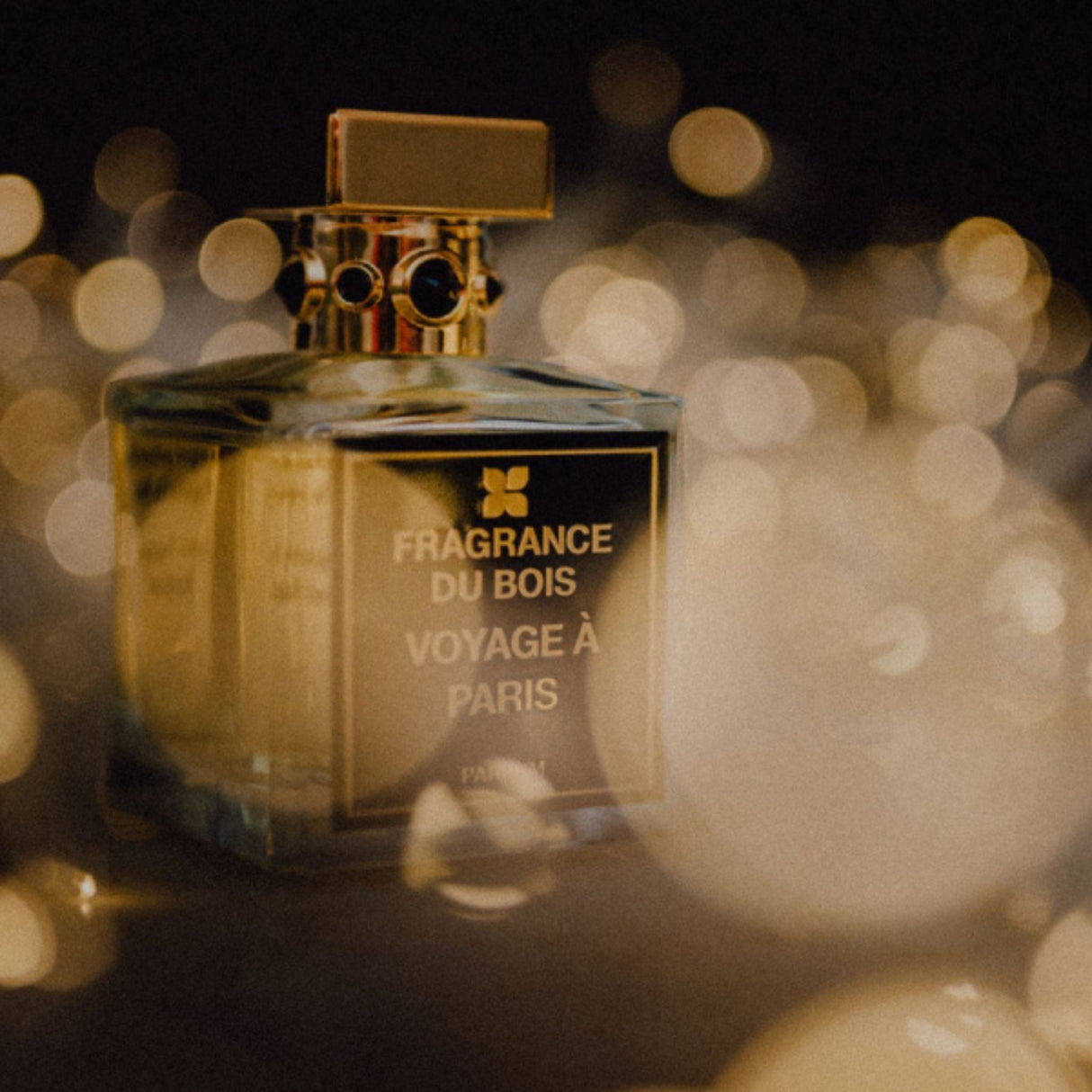 Voyage a Paris Perfume Fragrance Du Bois